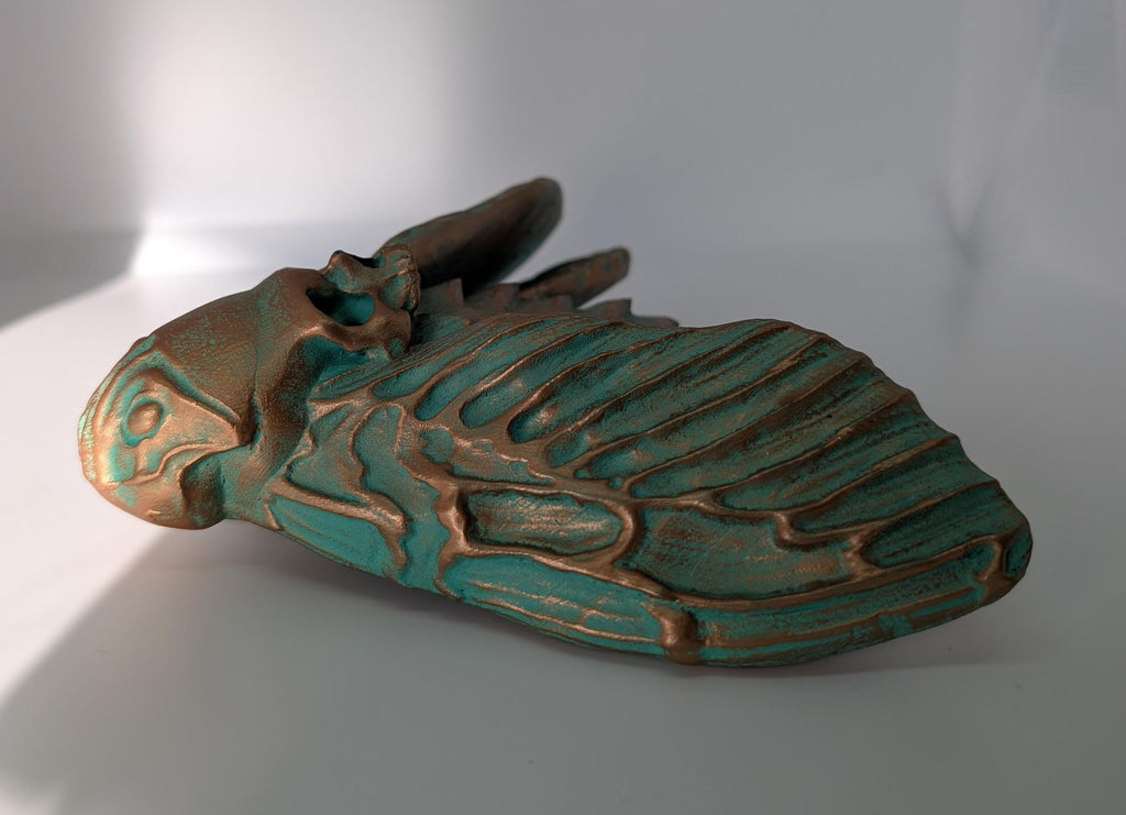 Death's Head Hawkmoths by C.Brigante 3D Print Resin  Wall Art Model ( 5.5"x6.7")