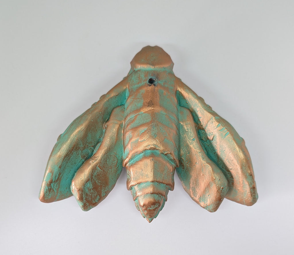 Death's Head Hawkmoths by C.Brigante 3D Print Resin  Wall Art Model ( 5.5"x6.7")