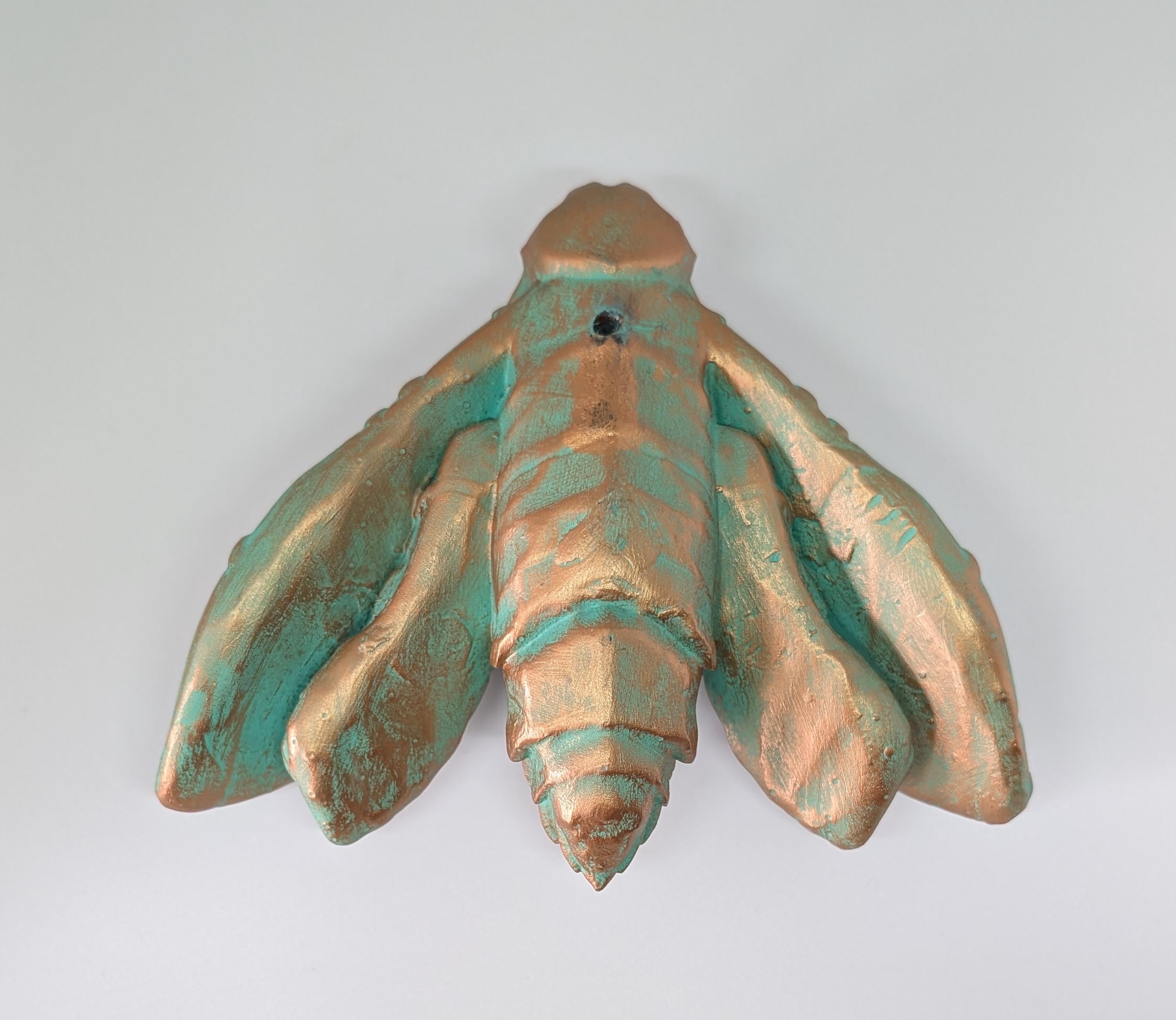 Death's Head Hawkmoths by C.Brigante 3D Print Resin  Wall Art Model ( 5.5"x6.7")