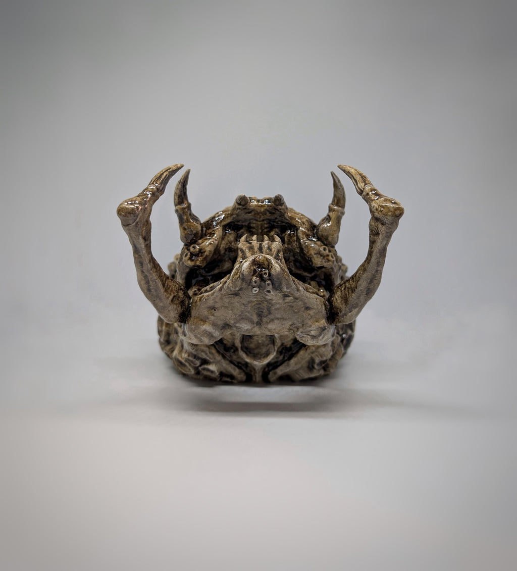 Predator Skull Trophy Sculpture 3D Resin 10.2 inches (26 cm) x 6.3 inches (16 cm)
