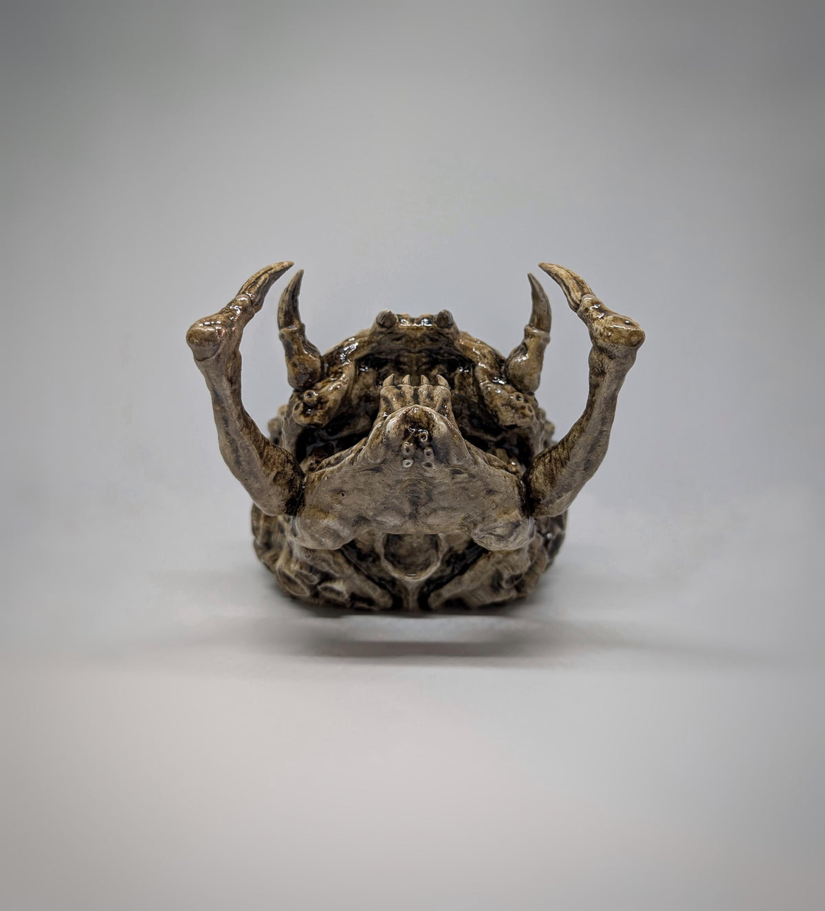 Predator Skull Trophy Sculpture 3D Resin 10.2 inches (26 cm) x 6.3 inches (16 cm)