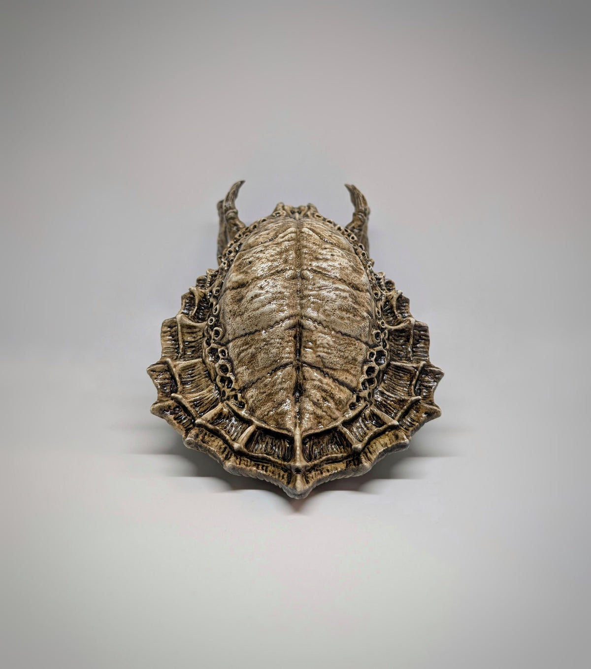 Predator Skull Trophy Sculpture 3D Resin 10.2 inches (26 cm) x 6.3 inches (16 cm)