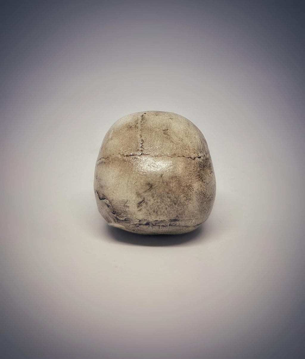 Small Craniosynostosis Skull 3D Resin 1.77 "(4.5 cm) x 2.36"(6 cm) Anatomical