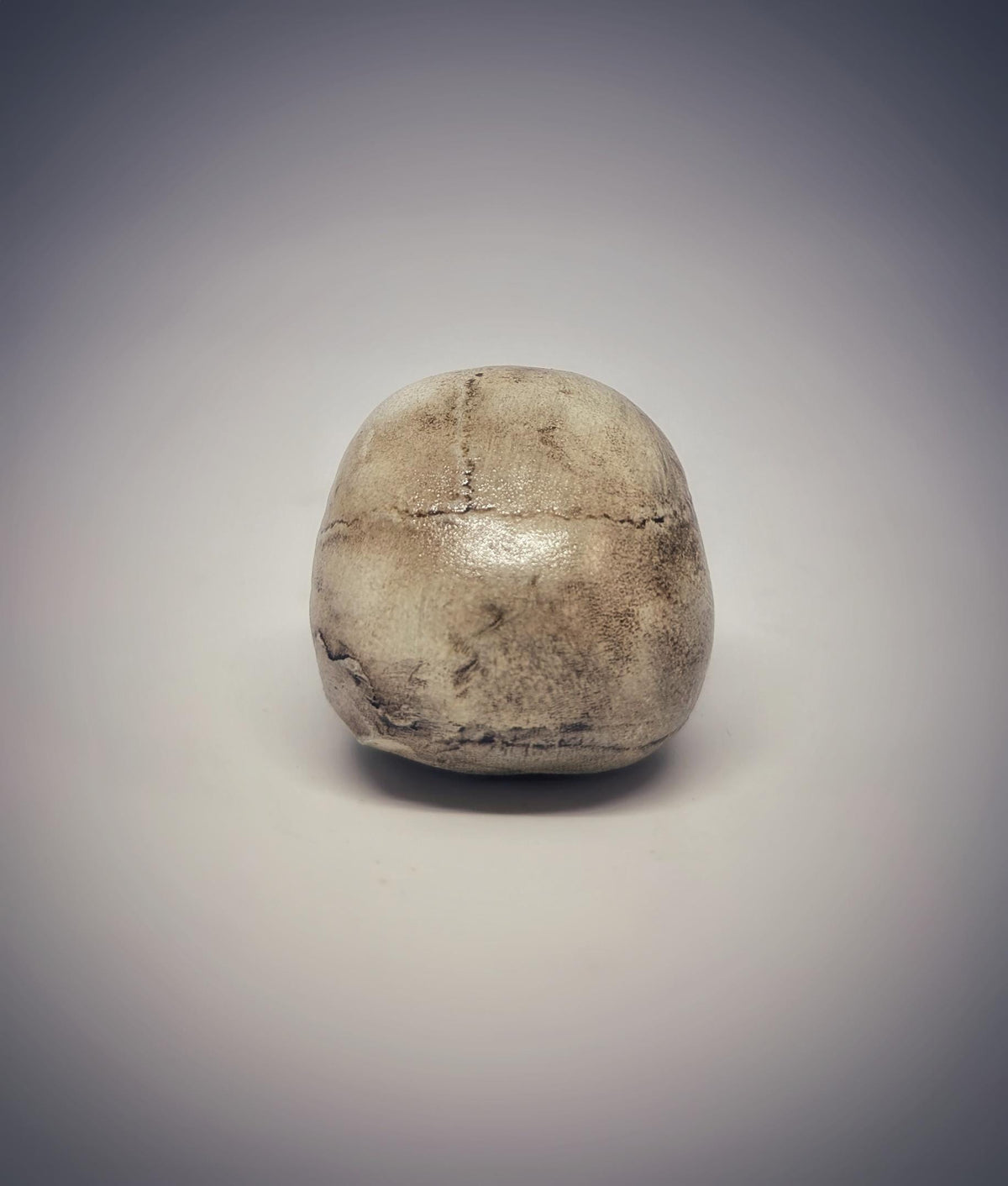 Small Craniosynostosis Skull 3D Resin 1.77 "(4.5 cm) x 2.36"(6 cm) Anatomical