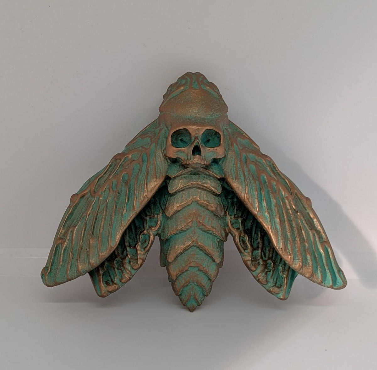 Death's Head Hawkmoths by C.Brigante 3D Print Resin  Wall Art Model ( 5.5"x6.7")