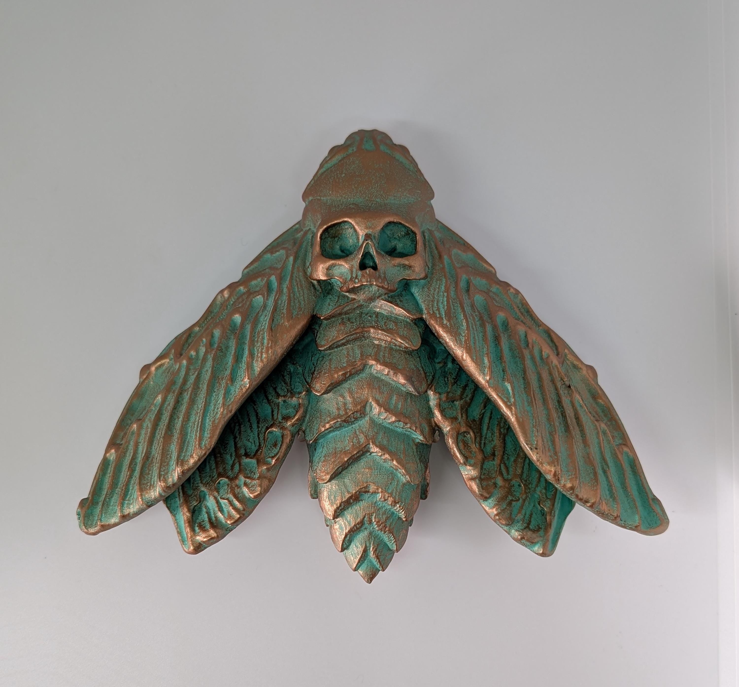 Death's Head Hawkmoths by C.Brigante 3D Print Resin  Wall Art Model ( 5.5"x6.7")