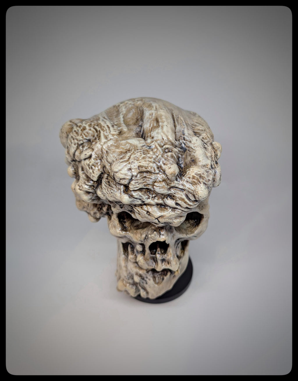 Joseph Merrick Skull 3D Resin Sculpture – 3D Sculpt by Carlito Brigante