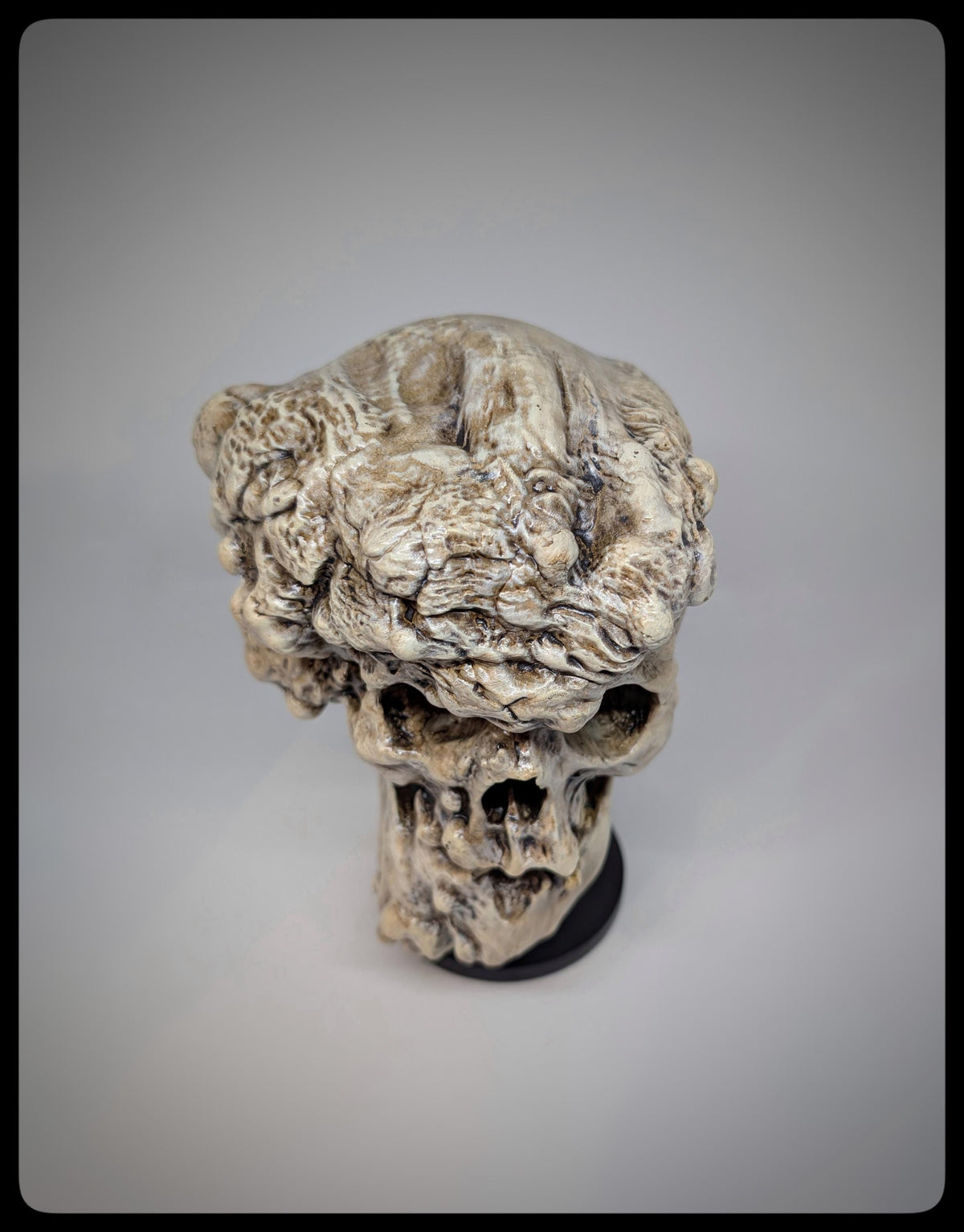 Joseph Merrick Skull 3D Resin Sculpture – 3D Sculpt by Carlito Brigante