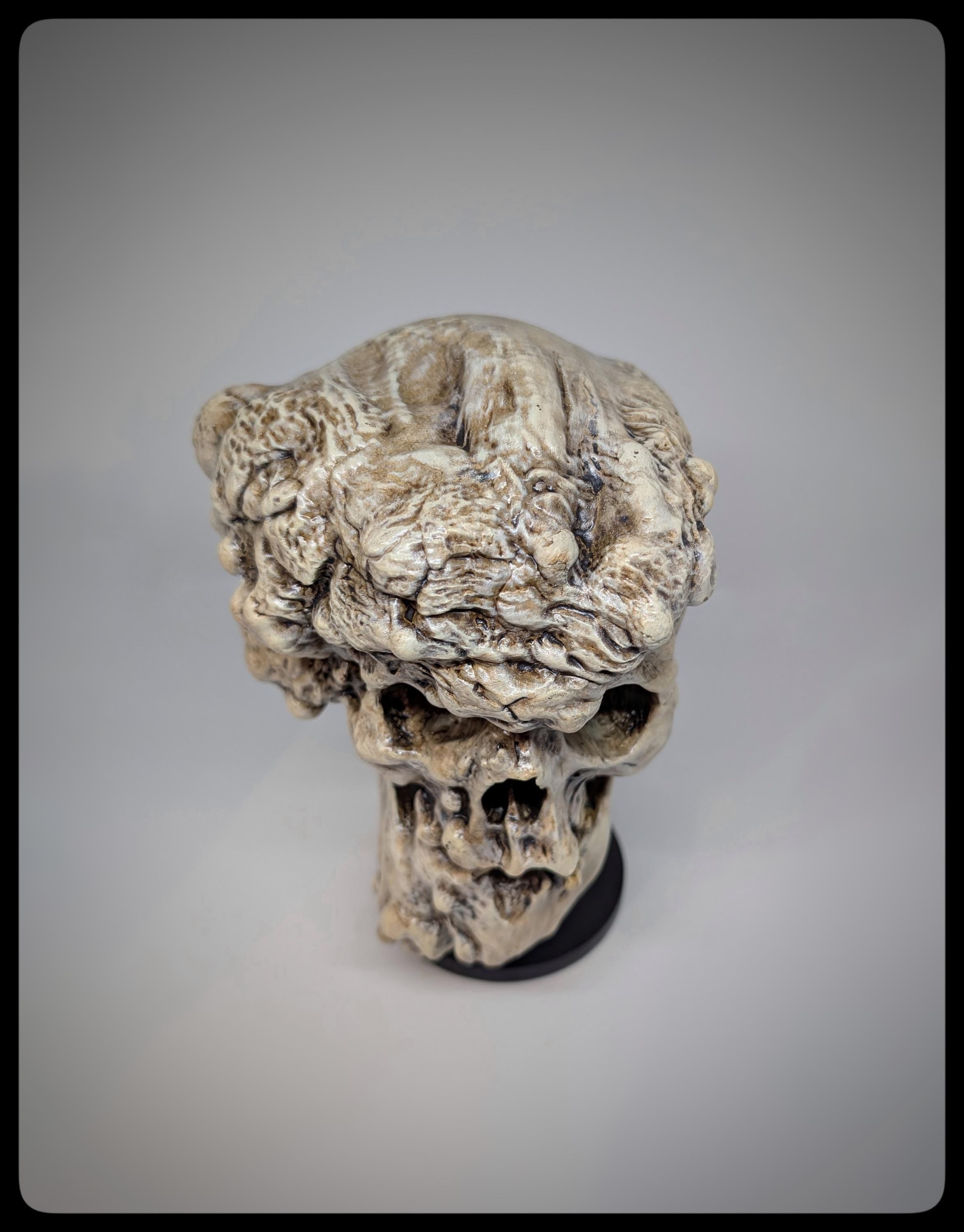 Joseph Merrick Skull 3D Resin Sculpture – 3D Sculpt by Carlito Brigante