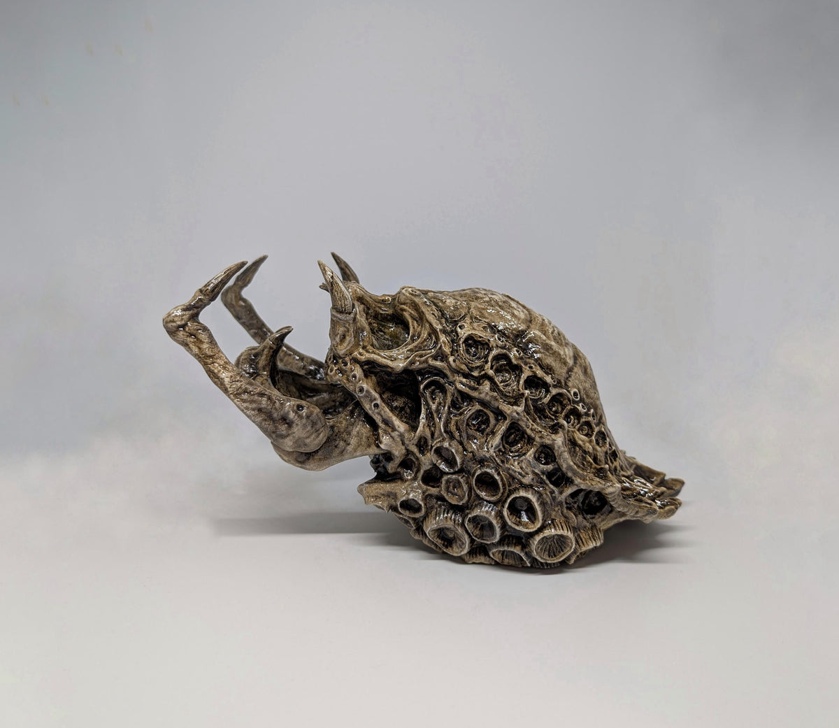 Predator Skull Trophy Sculpture 3D Resin 10.2 inches (26 cm) x 6.3 inches (16 cm)