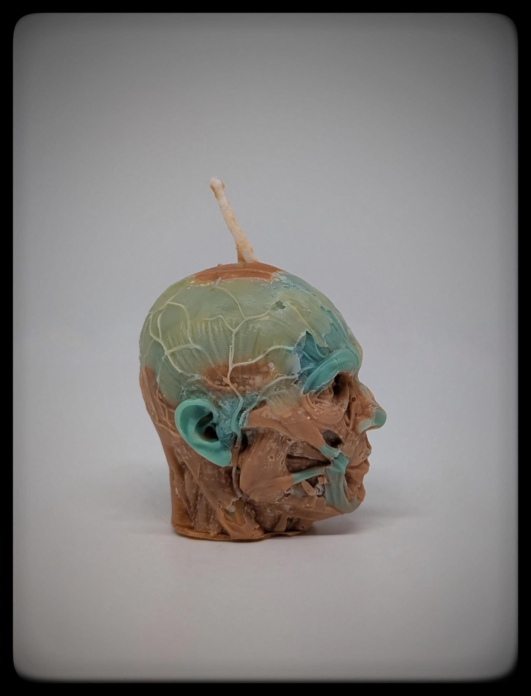 Anatomical Head Sculpture Candle 2.36in (6cm) Handmade Dark Art Decor