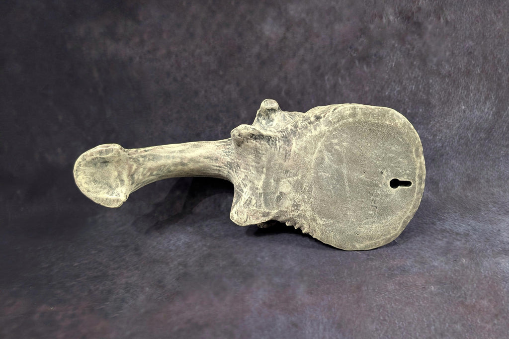 Inspired H.R.Giger- Harkonnen Door Handle/13.6in(34,5cm/345mm) 3D resin Wall sculpture