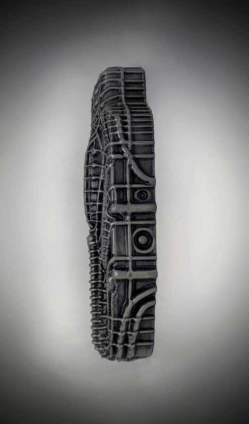 Alien Sarcophagus Wall Sculpture - Length 14.17 in (36 cm/360mm) / 3D Resin Art