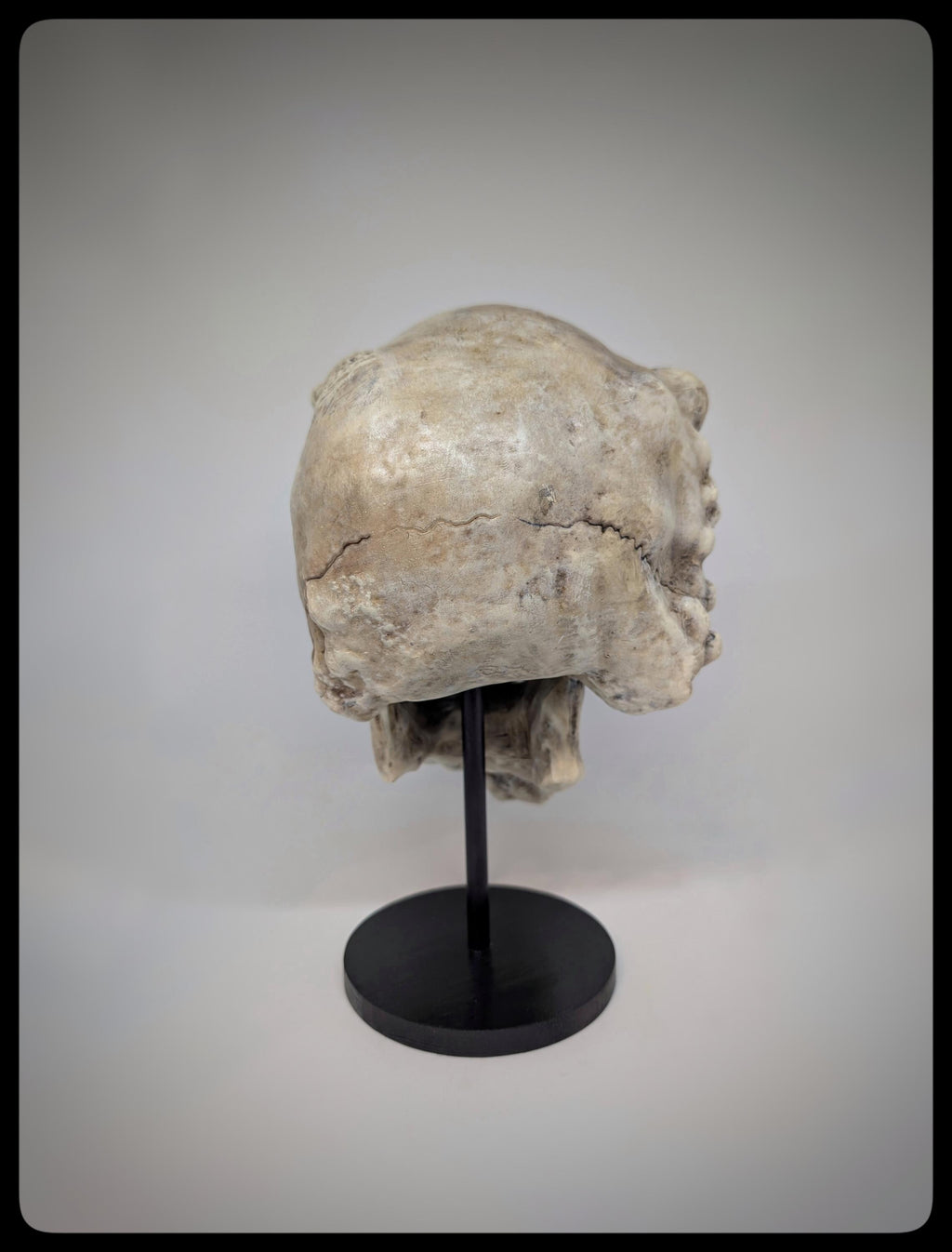 Joseph Merrick Skull 3D Resin Sculpture – 3D Sculpt by Carlito Brigante