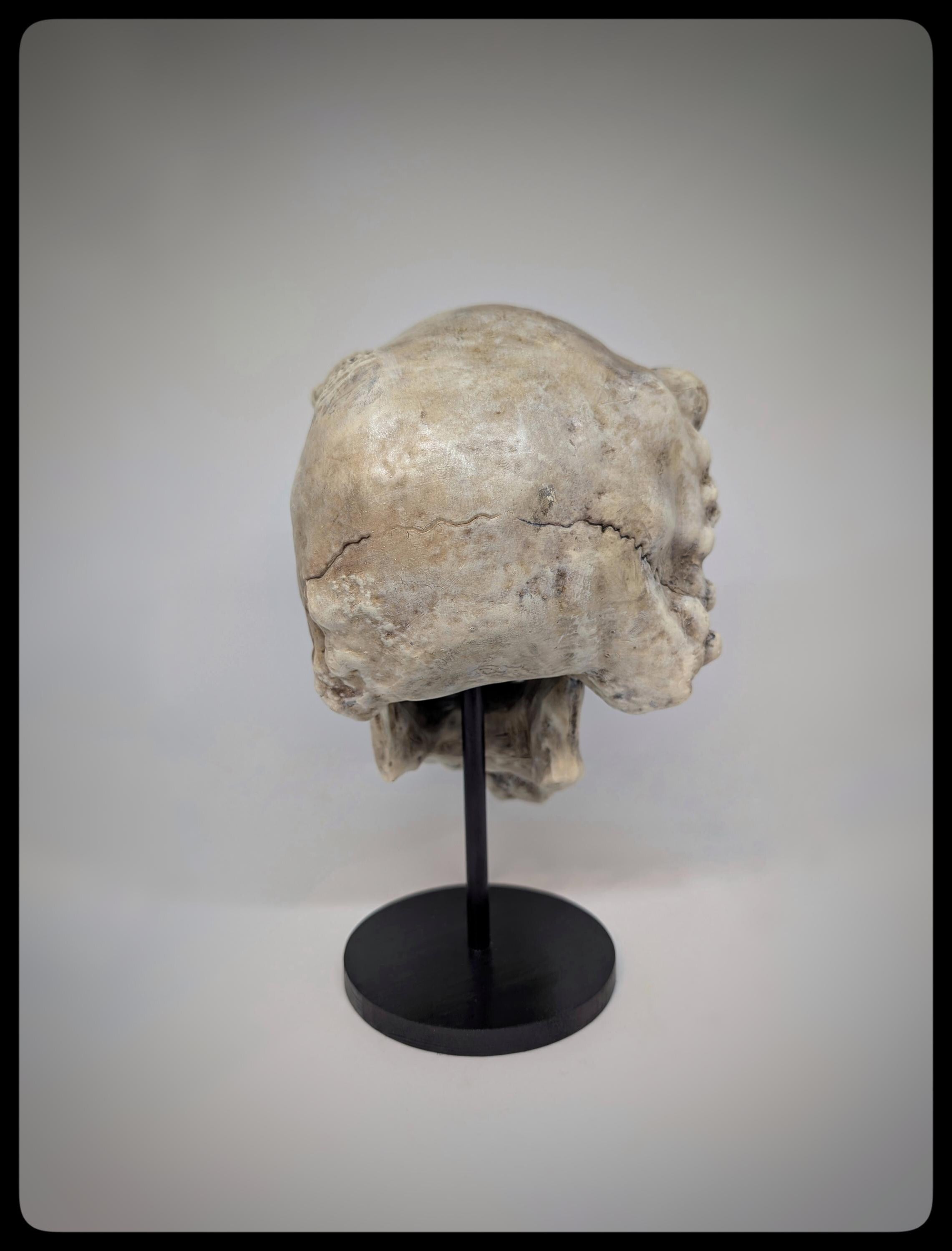 Joseph Merrick Skull 3D Resin Sculpture – 3D Sculpt by Carlito Brigante