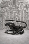 Inspired H.R. Giger Necronom Alien III 6.7"(17 cm/170 mm) x 11.8"(30 cm/300 mm)